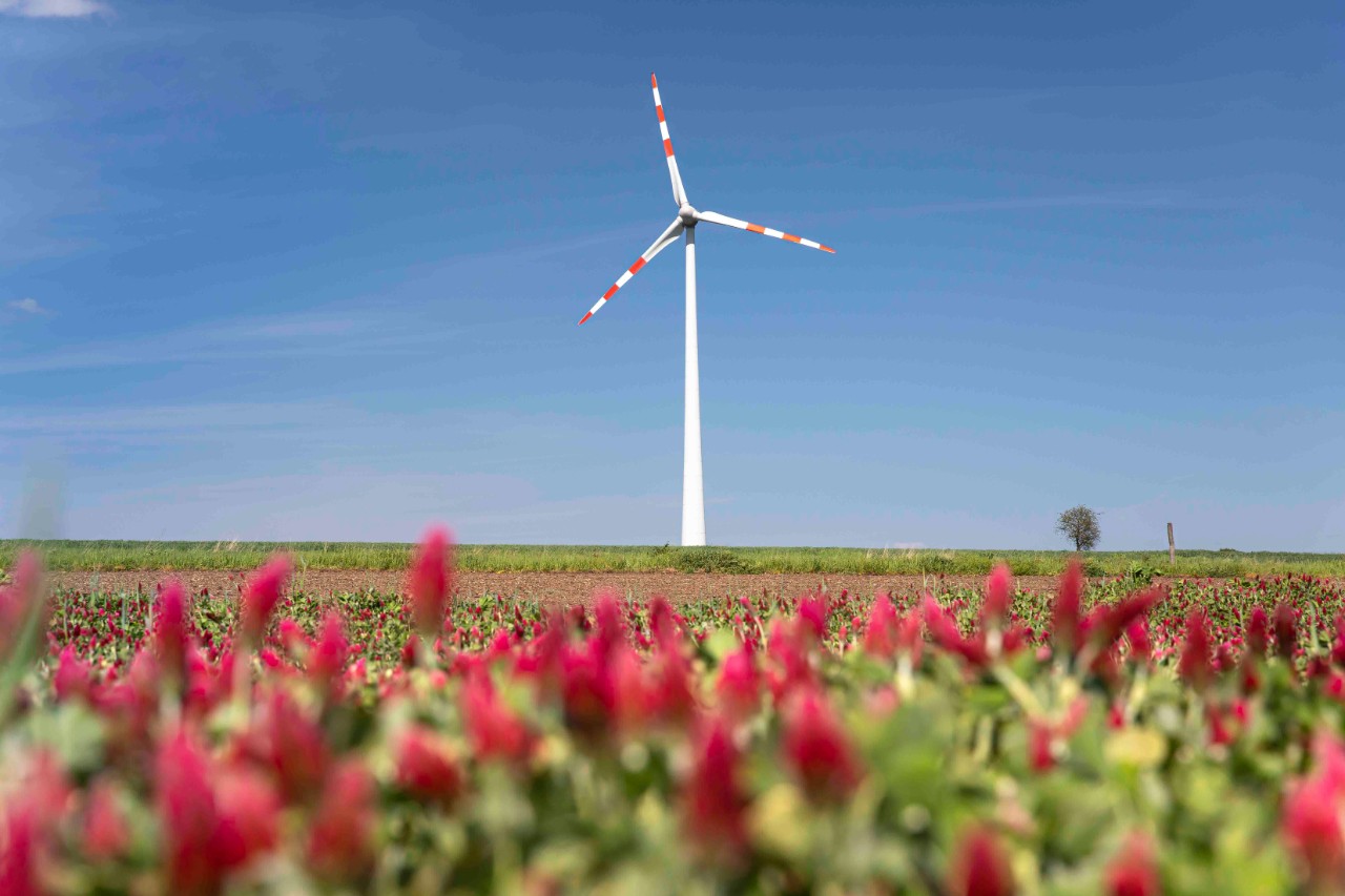 ContourGlobal Windpark HAGN