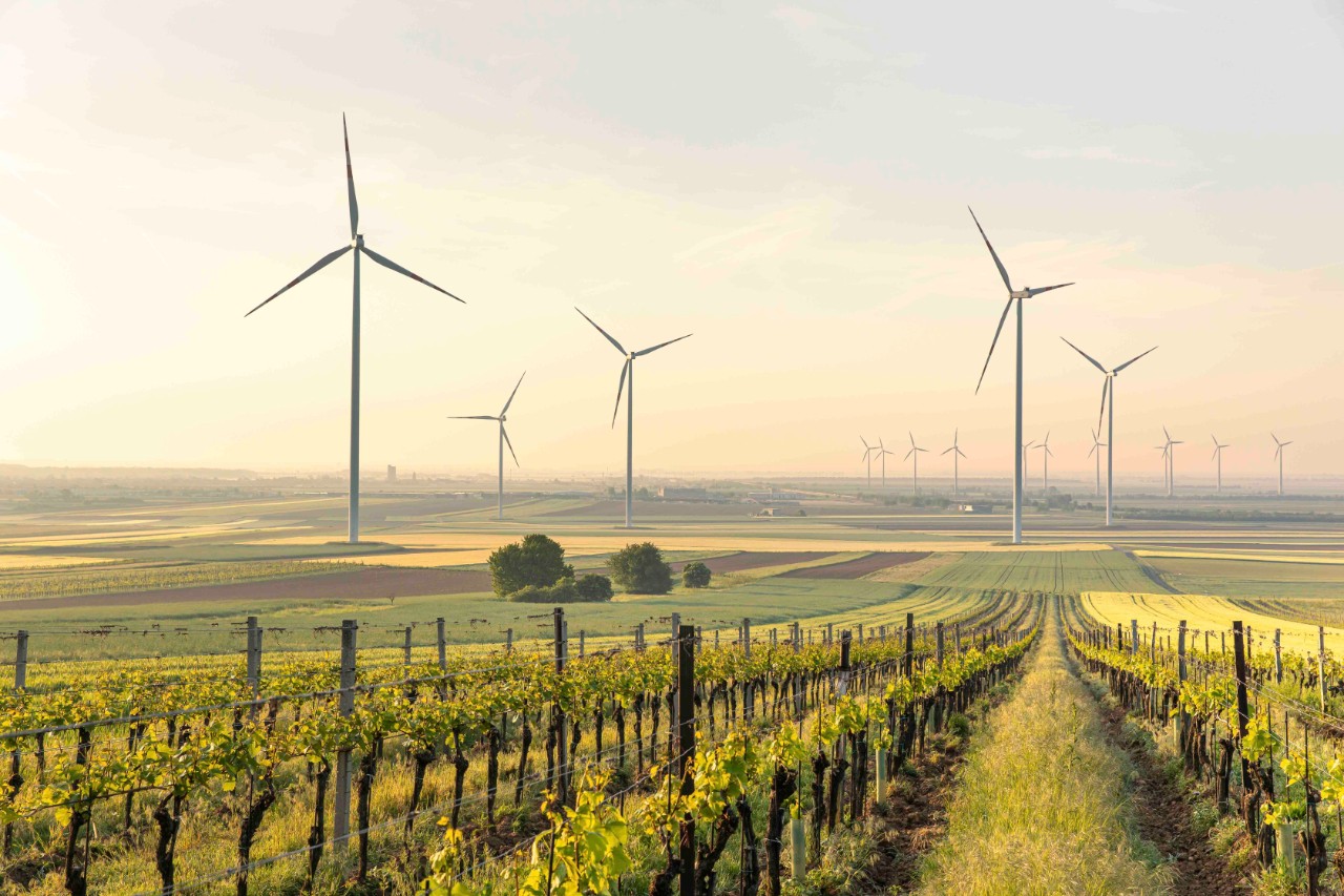 Windpark Scharndorf ContourGlobal