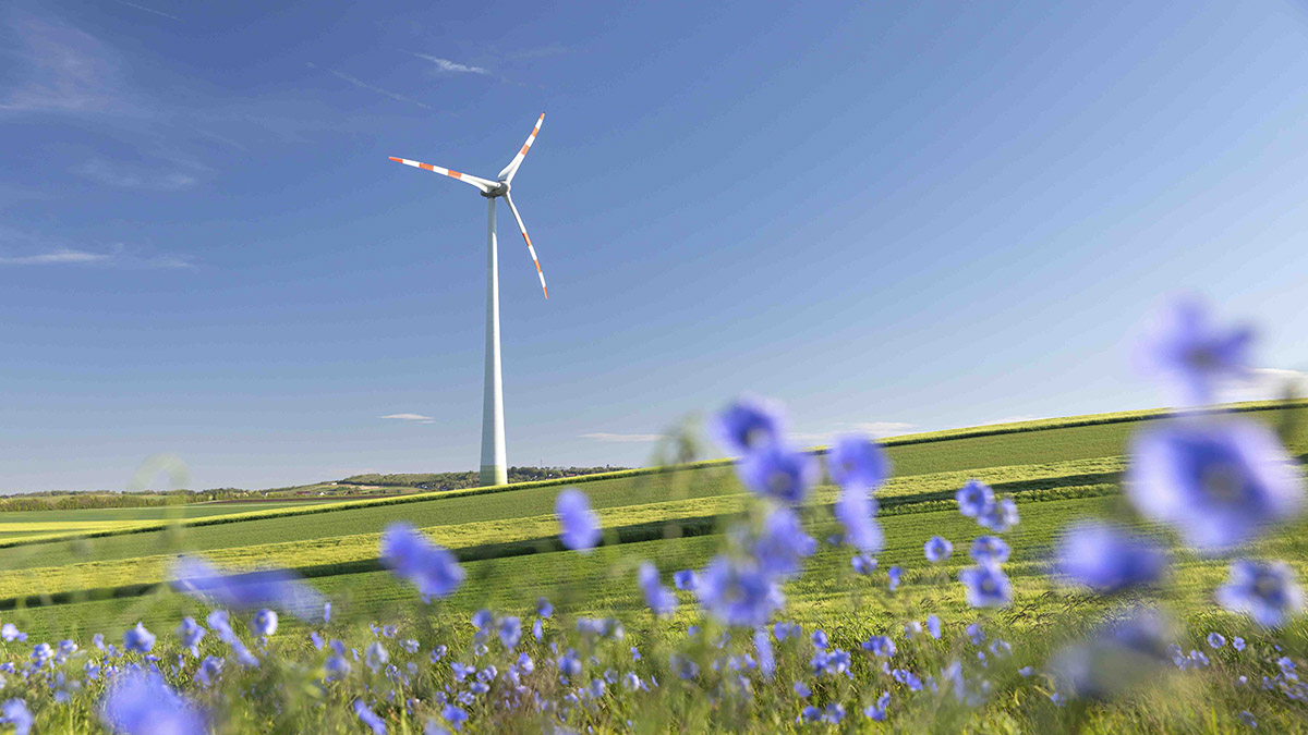wind farm green