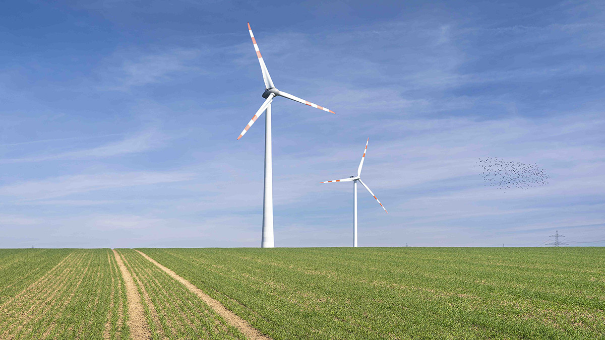 ContourGlobal Windpark Zistersdorf Ost