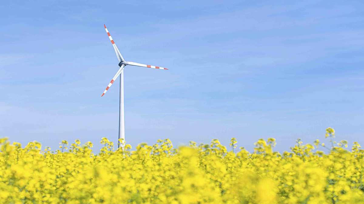 ContourGlobal Windpark Zistersdorf Ost